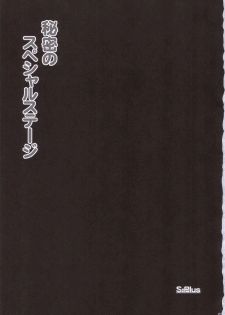 [S-Plus (SHIYAMI)] Himitsu no Special Stage (Super Robot Wars) - page 2
