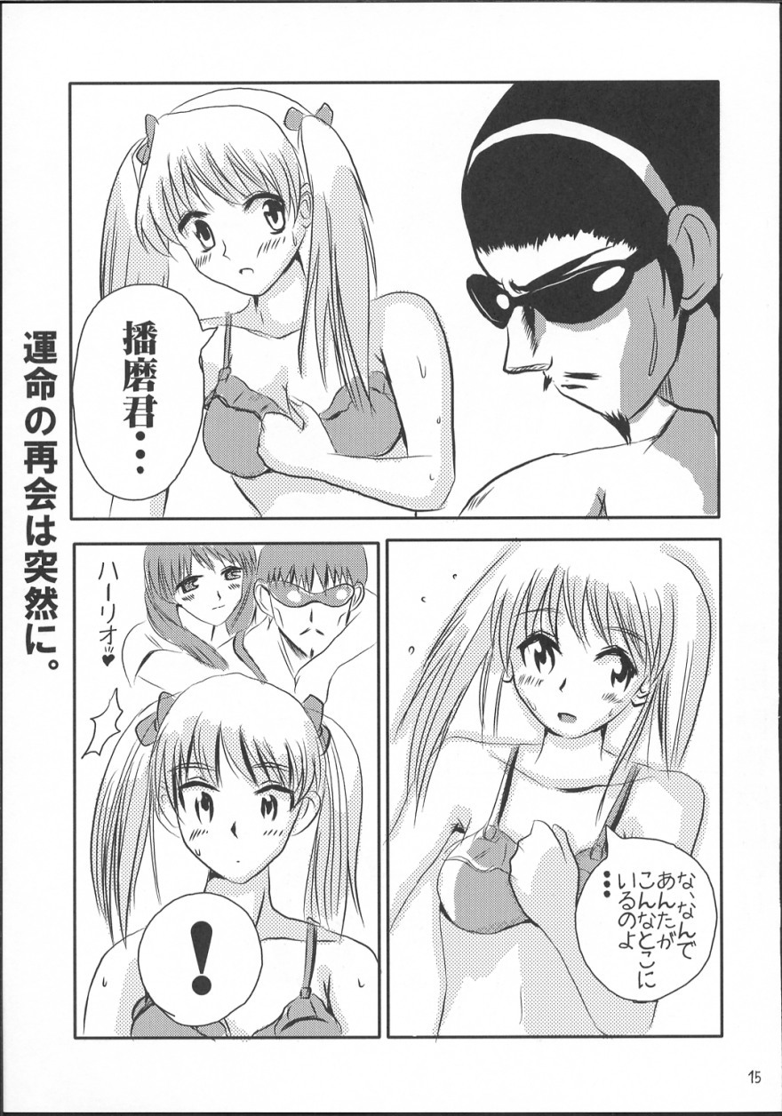 (C64) [KAKOHIMENOUTUWA (Yuumazume)] School Champloo 2 (School Rumble) page 14 full