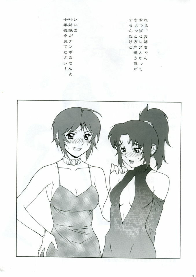 (C68) [Motchie Oukoku (Motchie)] Gekkan Lunamaria (Gundam SEED DESTINY) page 23 full