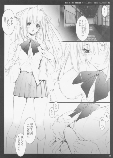 [Puriori-Soft] 牝姬の虜 ～廢校舍の制服少女～ 予約特典冊子 - page 19