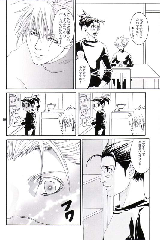 His Preferences (Kaka-Iru Fan Book; No.12) page 29 full