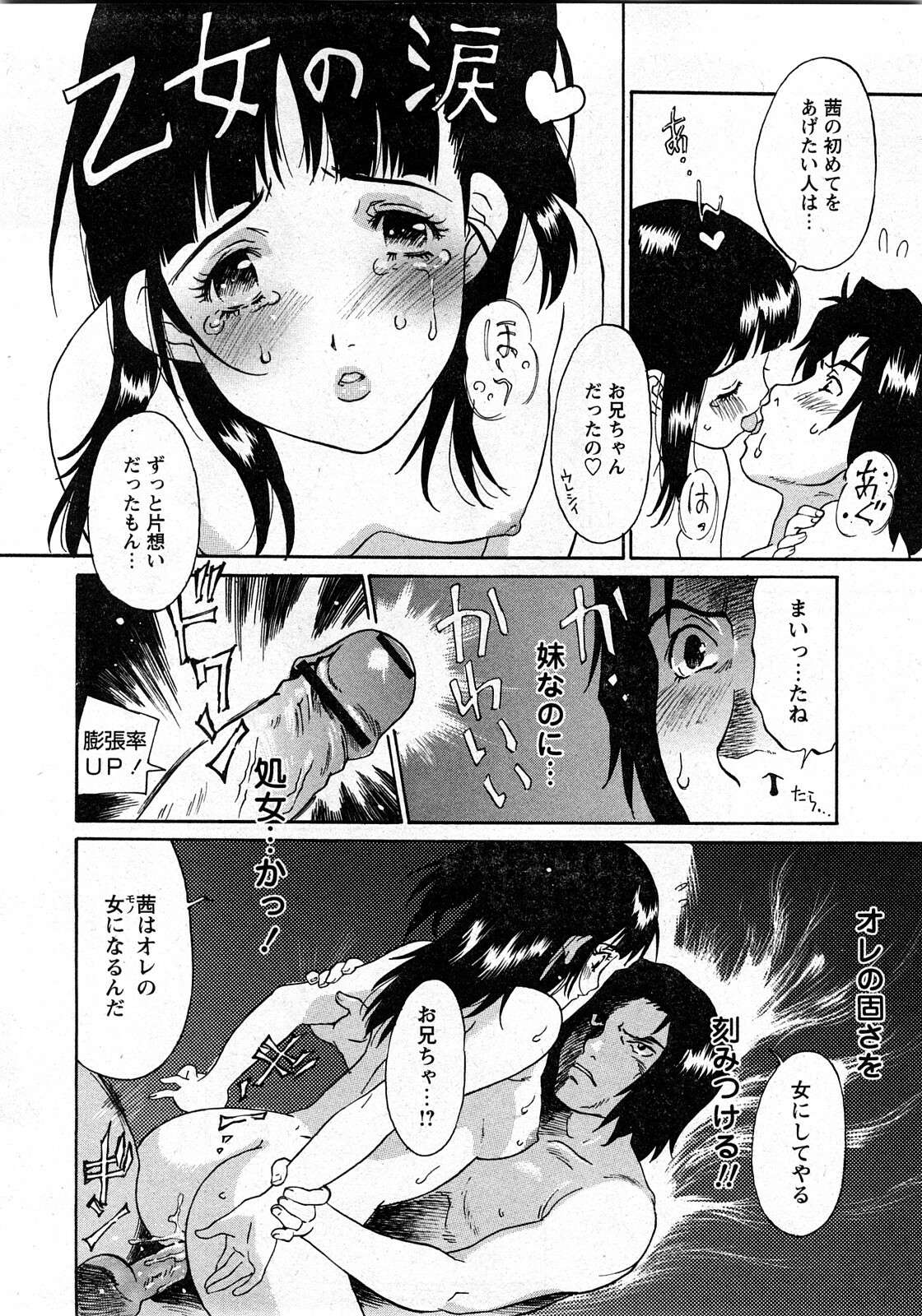 COMIC Himedorobow 2008-03 page 261 full