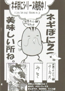 [TAM] Negi-Chu! Poni-Chu! 2 ( Mahou Sensei Negima ) - page 3