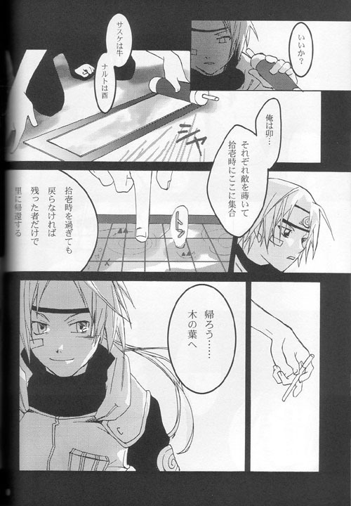 (CR34) [piero (Fuyumoe Makomo)] Kin no Hane Gin no Shikabane (Naruto) page 10 full