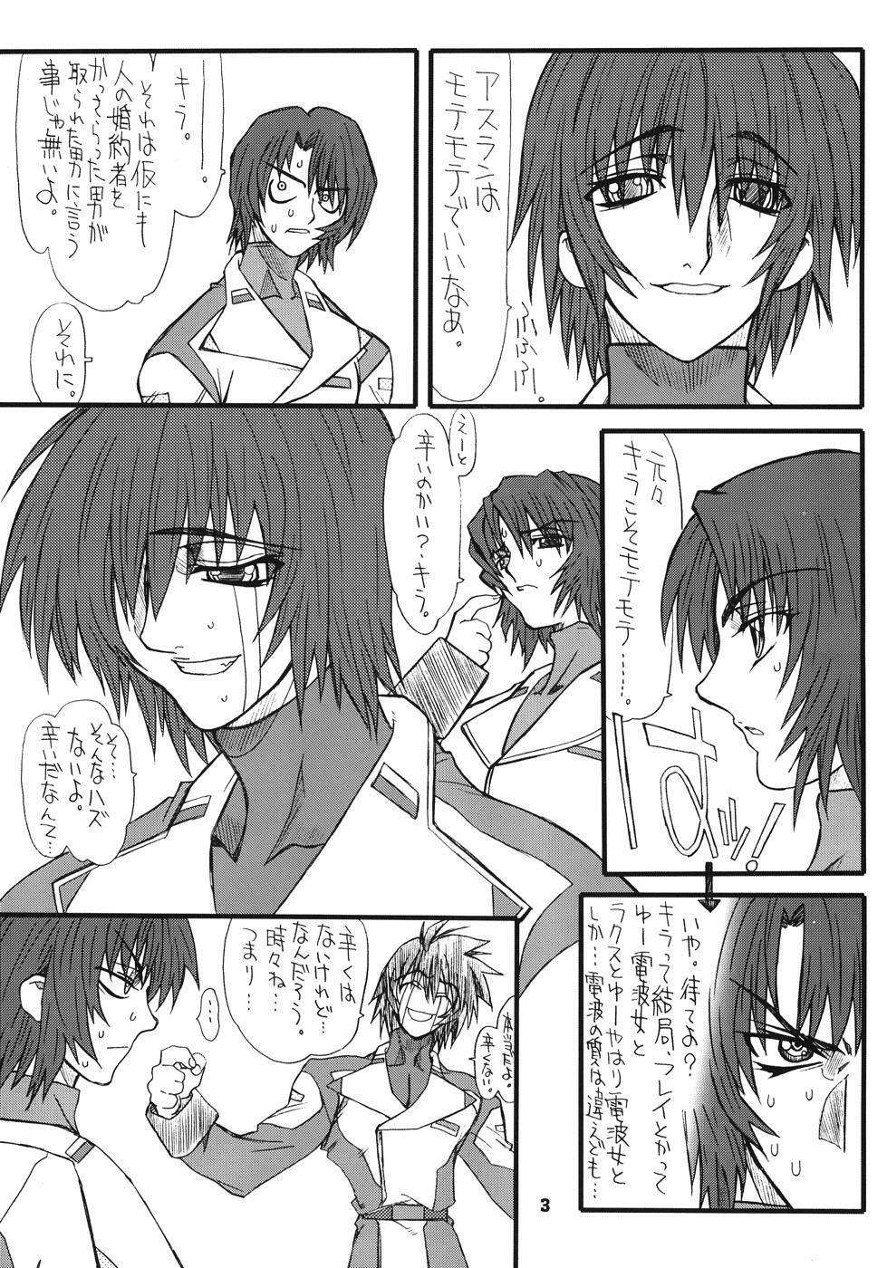 [Power Slide (Uttorikun)] Flower Children 4 (Gundam SEED DESTINY) page 3 full