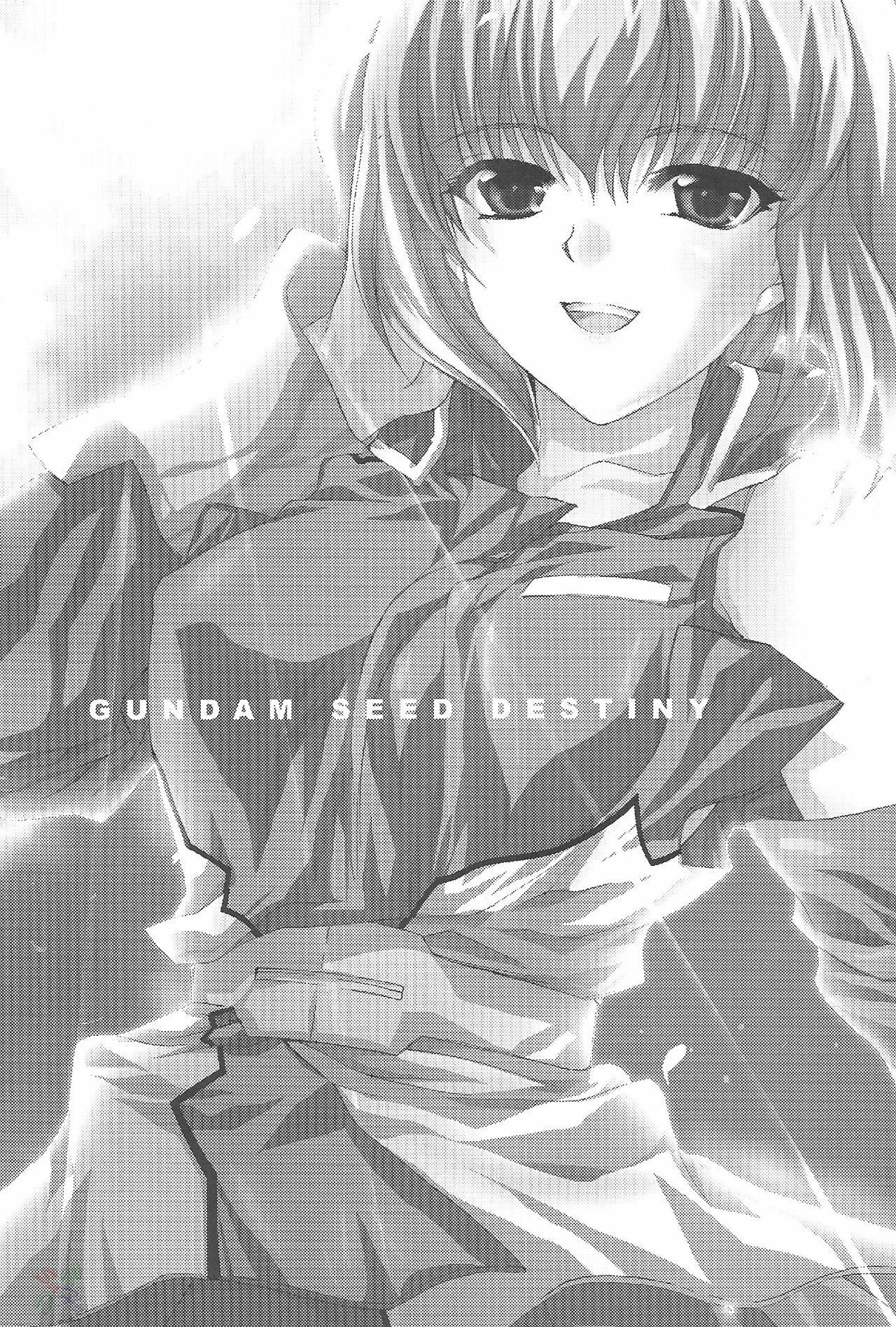 (CR37) [FANTASY WIND (Shinano Yura)] L-S (Kidou Senshi Gundam Seed Destiny) [English] [SaHa] page 2 full