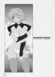 (C69) [GUST (Harukaze Soyogu)] Burning!! 2 (Mobile Suit Gundam SEED DESTINY) [English] [SaHa] - page 2
