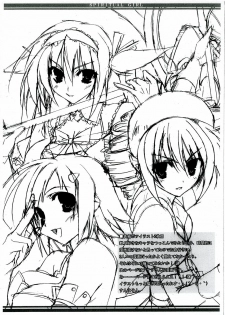 (Tosan Matsuri 2007) [RADICAL DASH (Miyane Aki)] SPIRITUAL GIRL (Queen's Blade) - page 3