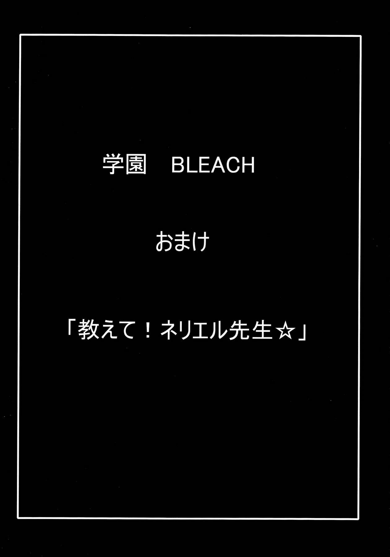 (SC39) [Kairanban (Bibi)] Benten Kairaku 7 (BLEACH) page 29 full