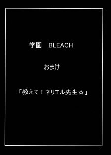 (SC39) [Kairanban (Bibi)] Benten Kairaku 7 (BLEACH) - page 29