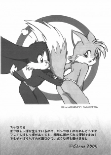 [Ranshou Equals Rei, Inusawa, Mokuji-DSC] Fundoshi (Kemono) - page 25