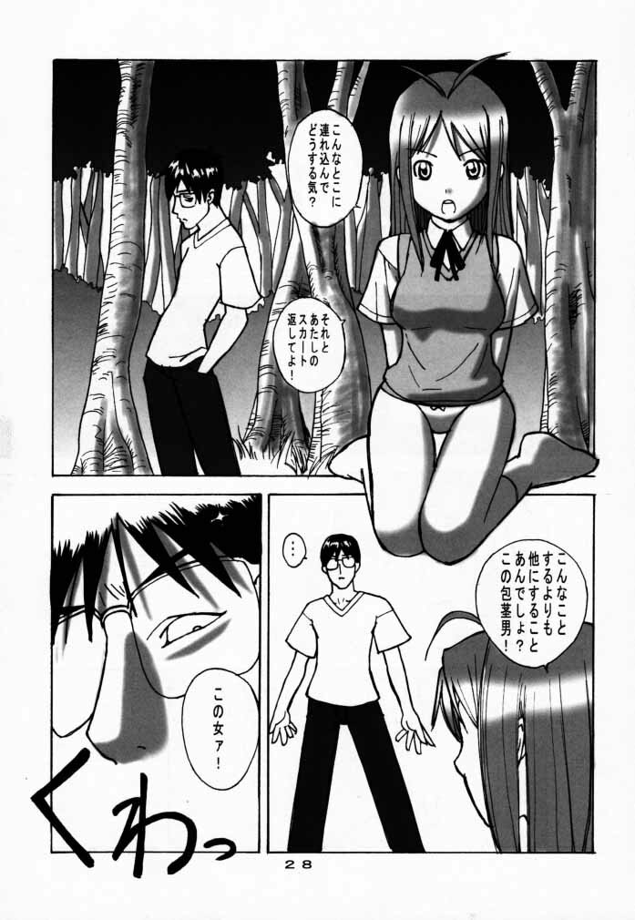 (C58) [Steel Works (Various)] Naru Shino (Love Hina) page 27 full