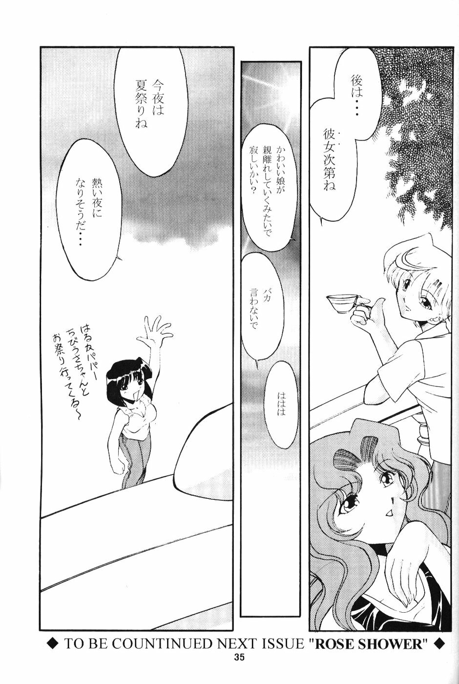 (C61) [ROSE WATER (Haruka Ayanokouji)] ROSE WATER 14 ROSARY (Bishoujo Senshi Sailor Moon) page 34 full