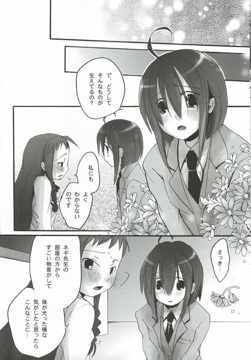 (C68) [X-10SION (10-Shion)] Bukuma! 2 (Mahou Sensei Negima!) page 21 full