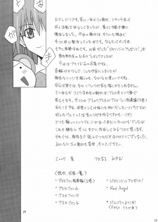 (C68) [Utamaru Press (Utamaru Mikio)] Manatsu no Asuka Santa (Neon Genesis Evangelion) - page 28