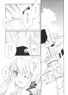 (C65) [Aion (Amou Mari)] Random Ni Saku Nobe No Hana Ni (Full Metal Alchemist) - page 8