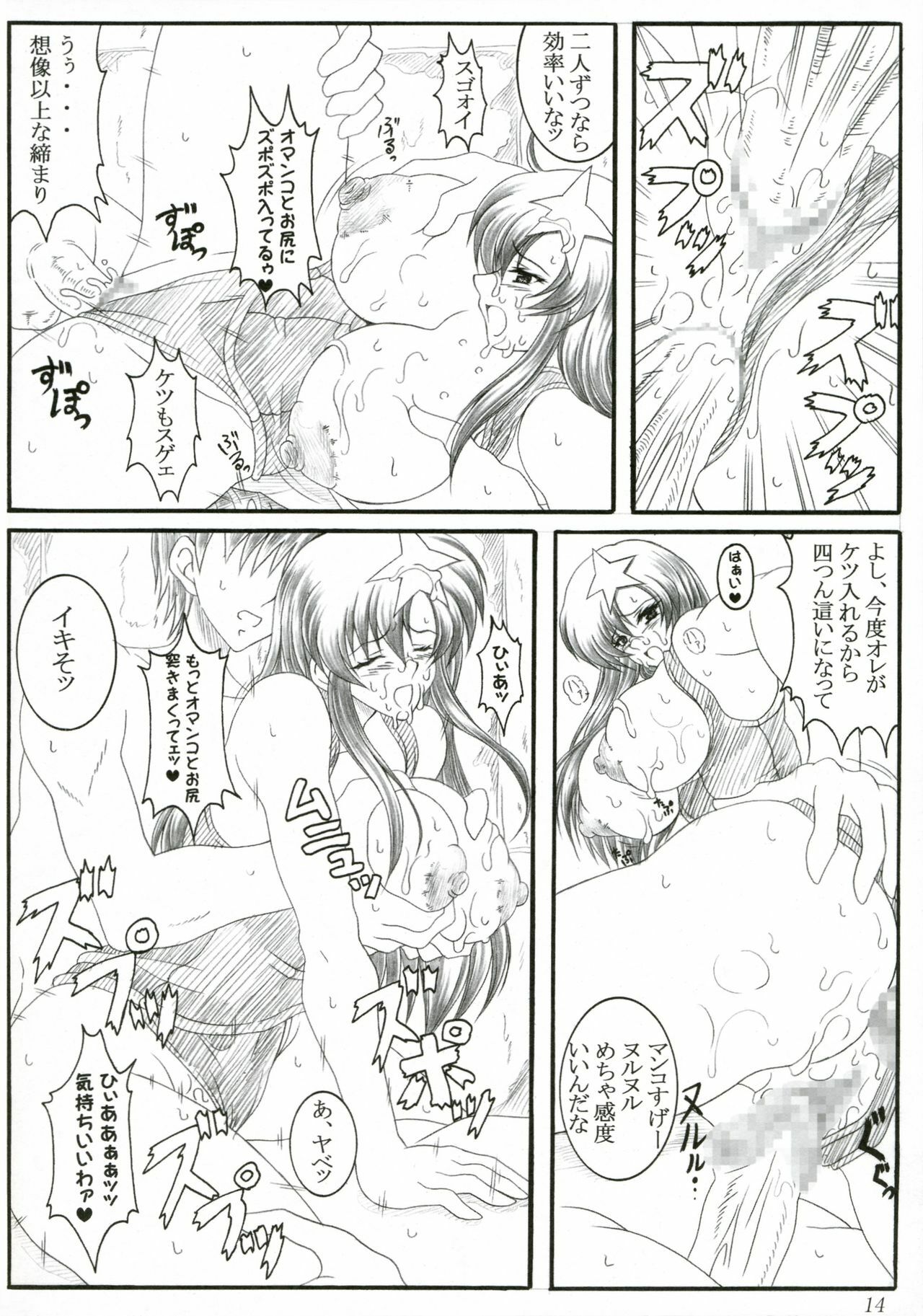 (SC29) [INSERT (KEN)] Meer (Gundam SEED DESTINY) page 13 full