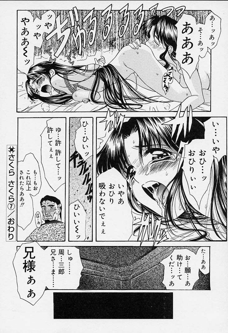 [Amayumi] sakura sakura page 141 full