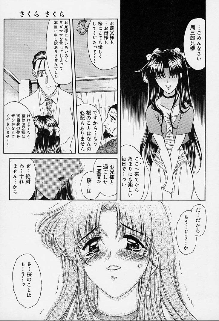 [Amayumi] sakura sakura page 146 full