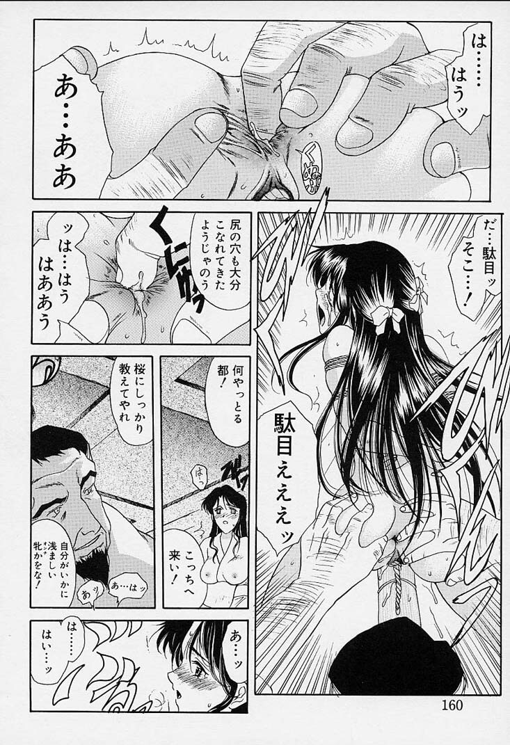 [Amayumi] sakura sakura page 155 full