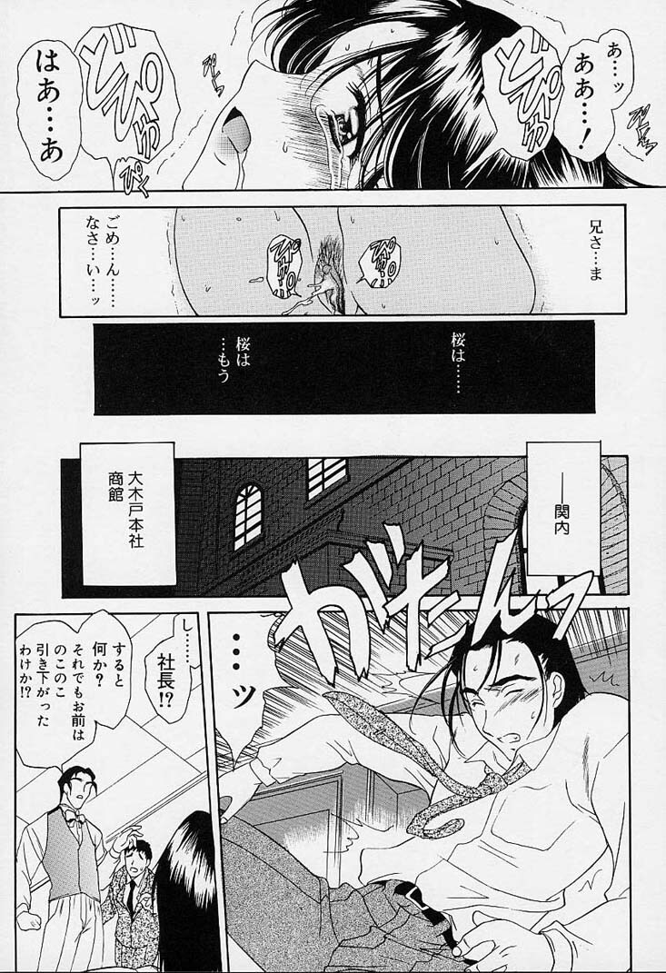 [Amayumi] sakura sakura page 160 full
