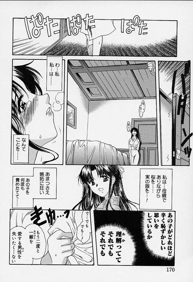 [Amayumi] sakura sakura page 165 full