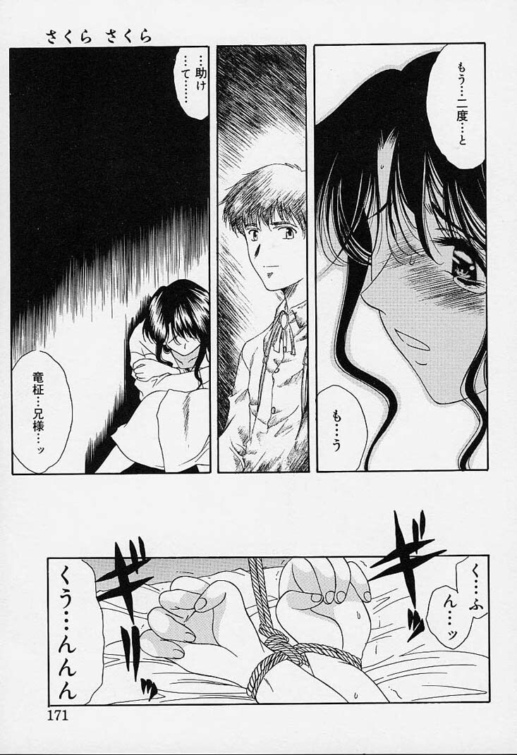 [Amayumi] sakura sakura page 166 full