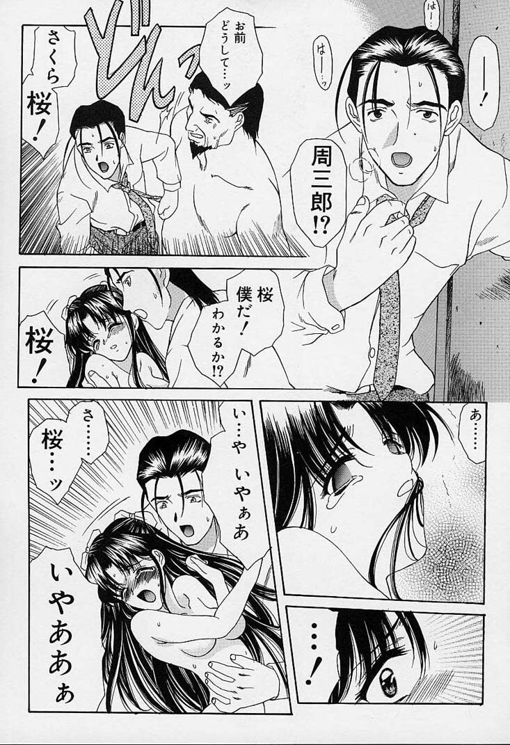 [Amayumi] sakura sakura page 176 full