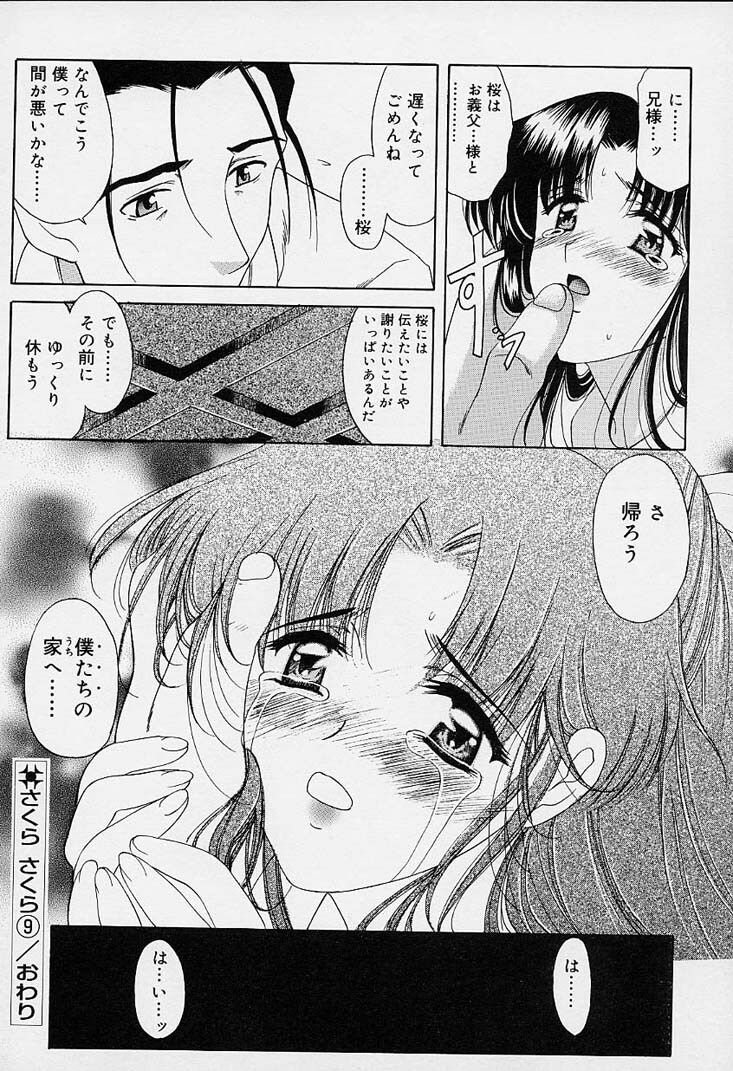 [Amayumi] sakura sakura page 183 full