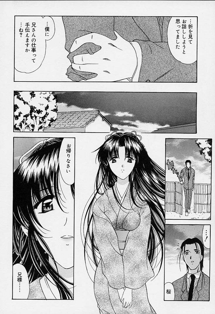 [Amayumi] sakura sakura page 187 full