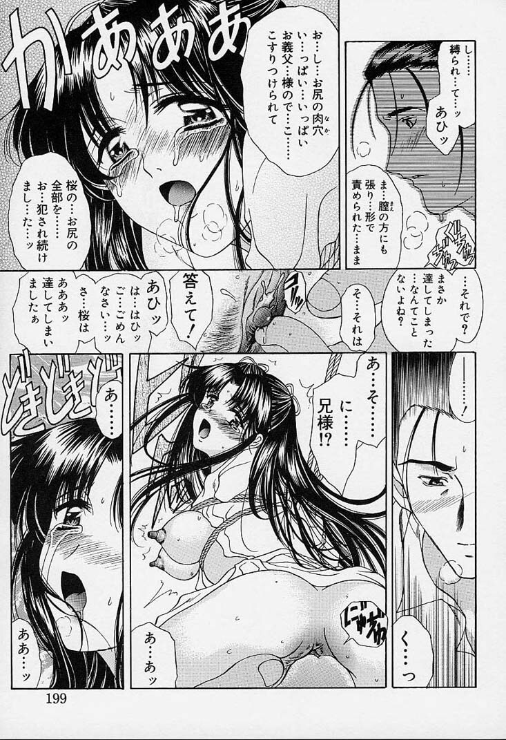 [Amayumi] sakura sakura page 194 full