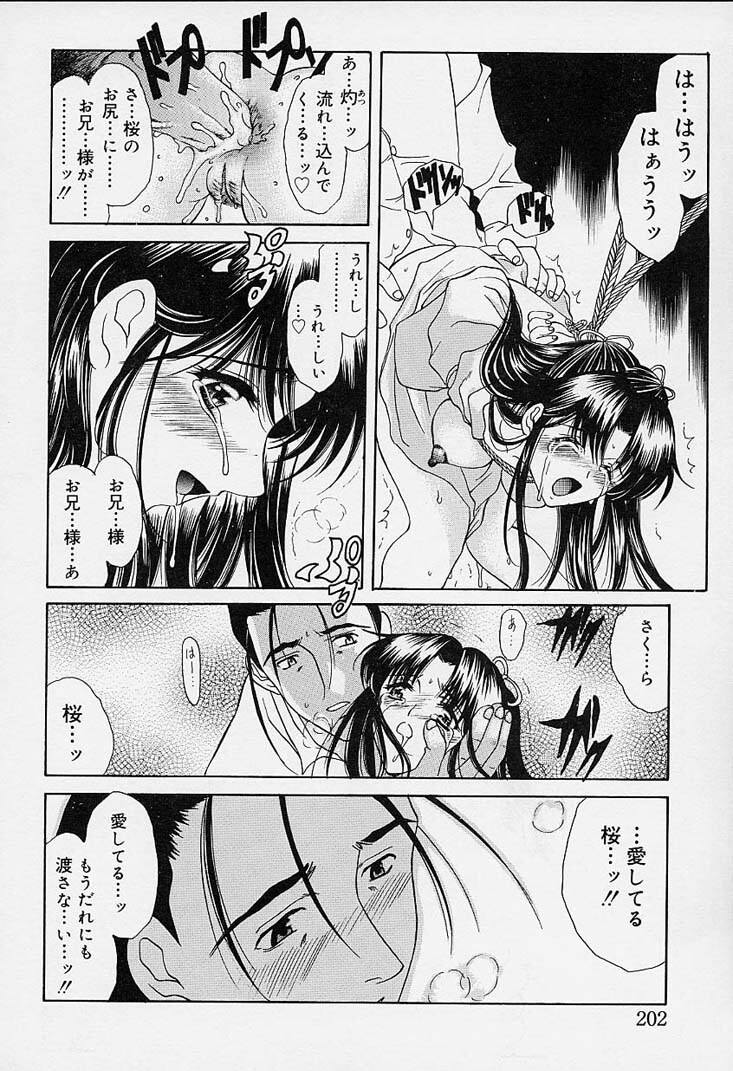 [Amayumi] sakura sakura page 197 full