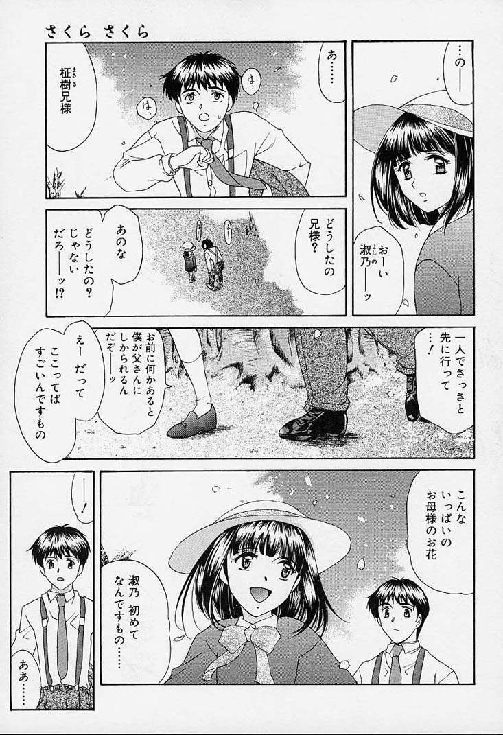 [Amayumi] sakura sakura page 206 full