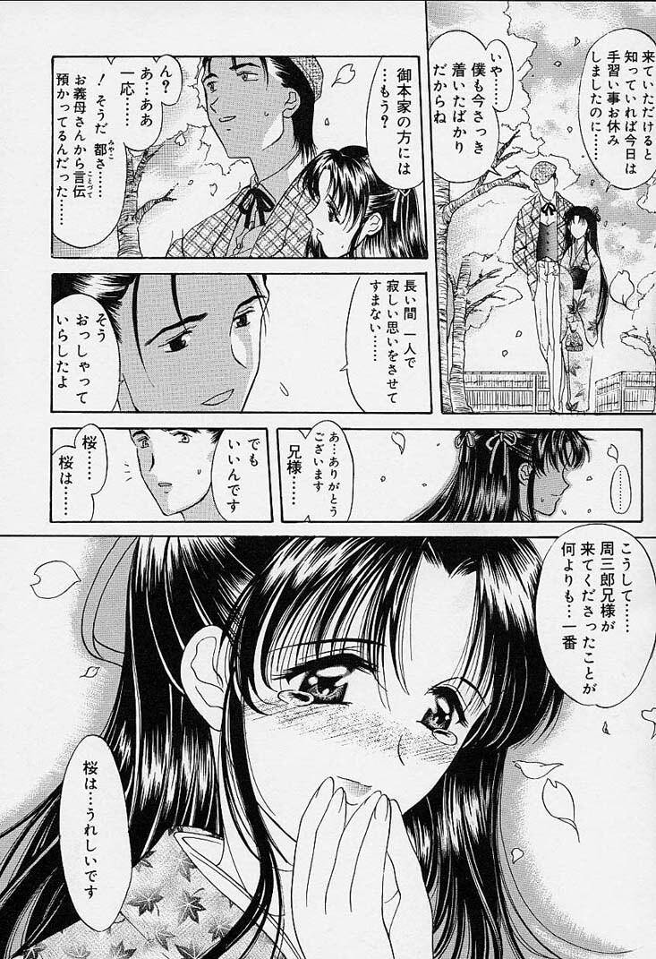 [Amayumi] sakura sakura page 5 full