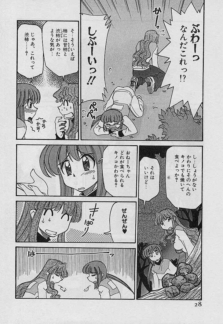 [Mizuki Hitoshi] Shin Kyonyuu Kazoku 4 page 30 full