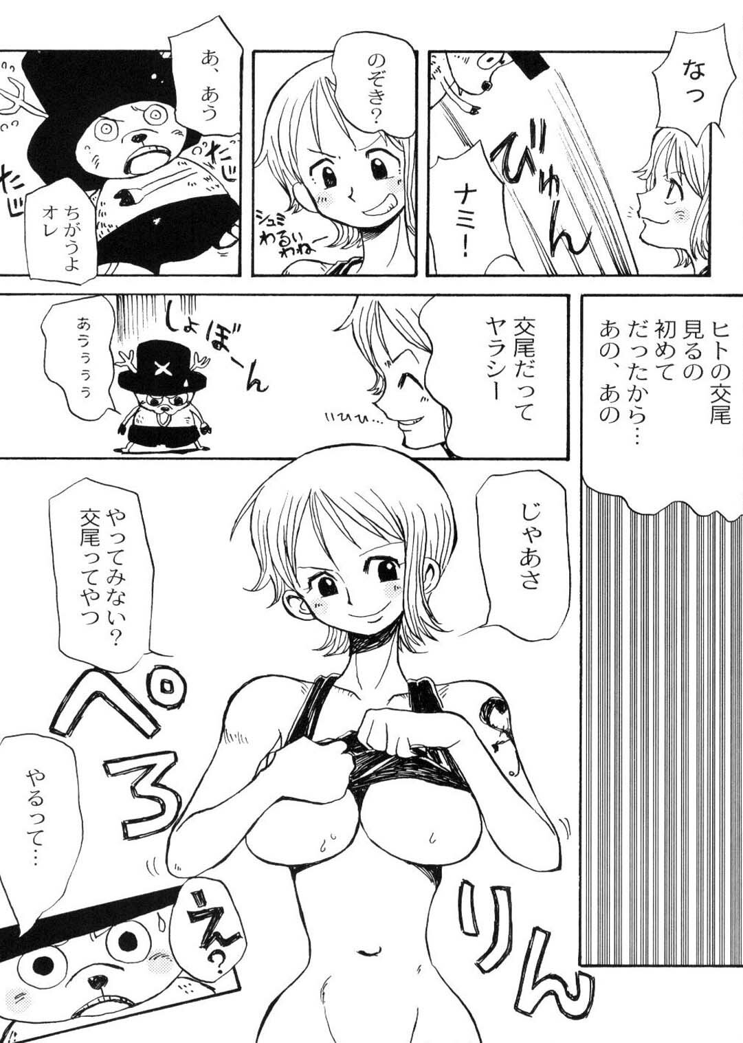 (C65) [Cha Cha Cha Brothers (Yokoyama Chicha)] Nicozoro Namicho (One Piece) page 17 full