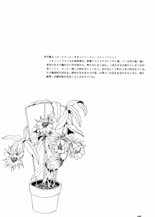 [Company N (Yoshino Shiho)] Gekka Bijin (Neon Genesis Evangelion) - page 45