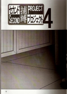 [Thirty Saver Street 2D Shooting (Maki Hideto, Sawara Kazumitsu)] Second Hobaku Project 4 (Neon Genesis Evangelion) - page 4