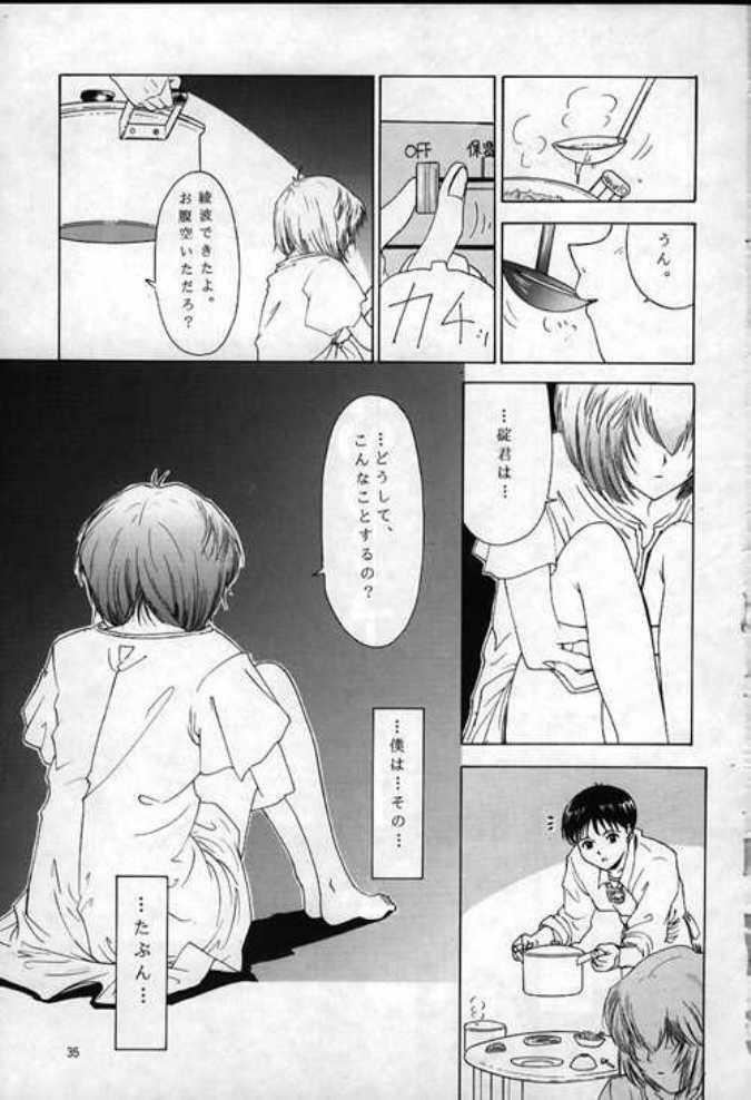 (C49) [Chimatsuriya Honpo (Asanagi Aoi)] 0000000001 (Neon Genesis Evangelion) page 32 full