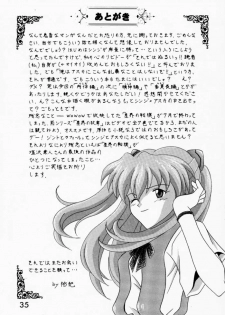 (C58) [SYSTEM SPECULATION (Imai Youki)] TECHNICAL PC 4 Asuka to Ecchi na Dokusha-tachi (Neon Genesis Evangelion) - page 34
