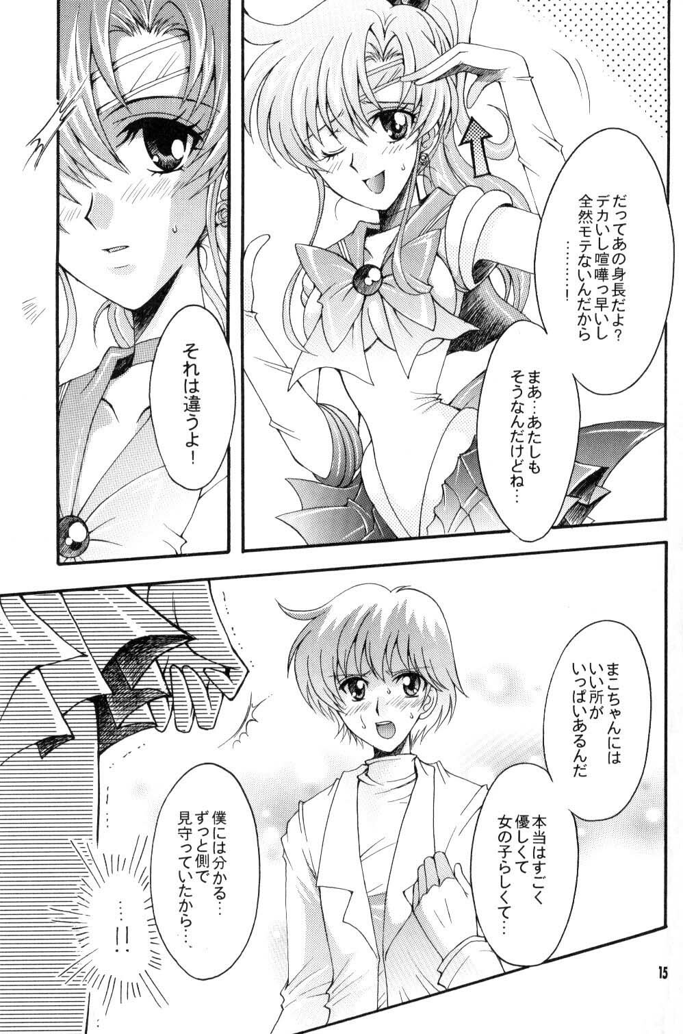 [Kotori Jimusho (Sakura Bunchou)] Seiyoru no Daishou (Sailor Moon) page 14 full