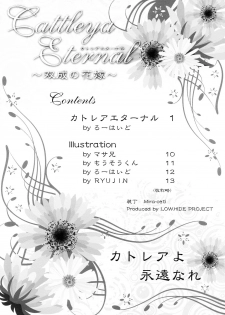 (Futaket 04) [LOWHIDE PROJECT (LOWHIDE)] Cattleya Eternal ～ Futanari no Hanayome ～ (Queen's Blade) - page 2