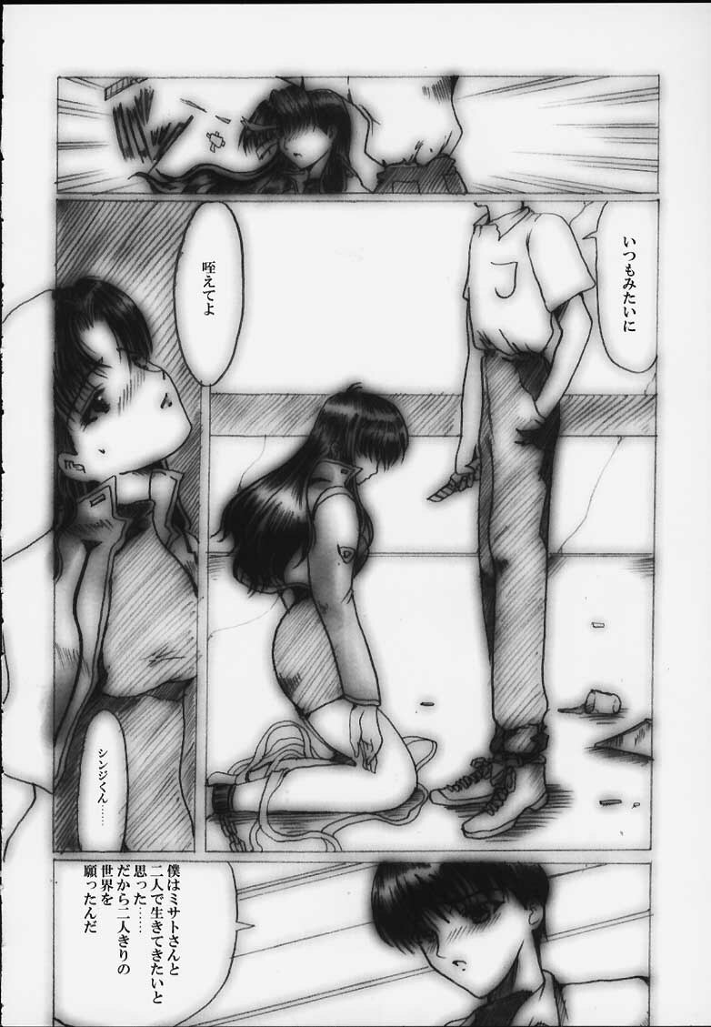 [Neko to Hato (Hatoya Mameshichi)] Désir - Yokubou no Hate - Kaiteiban (Neon Genesis Evangelion) page 11 full