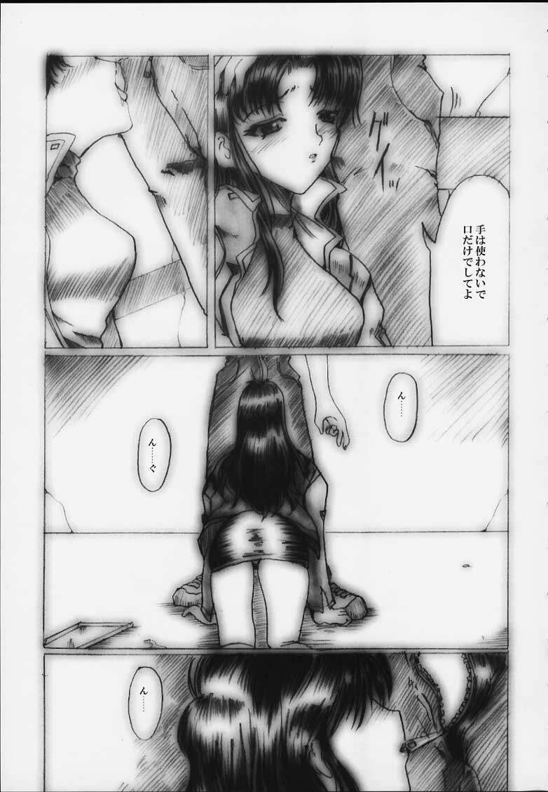 [Neko to Hato (Hatoya Mameshichi)] Désir - Yokubou no Hate - Kaiteiban (Neon Genesis Evangelion) page 12 full