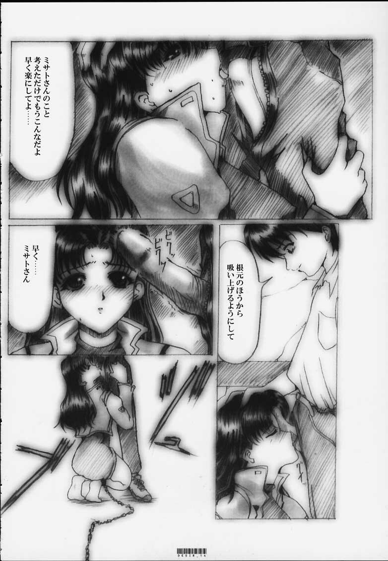 [Neko to Hato (Hatoya Mameshichi)] Désir - Yokubou no Hate - Kaiteiban (Neon Genesis Evangelion) page 13 full