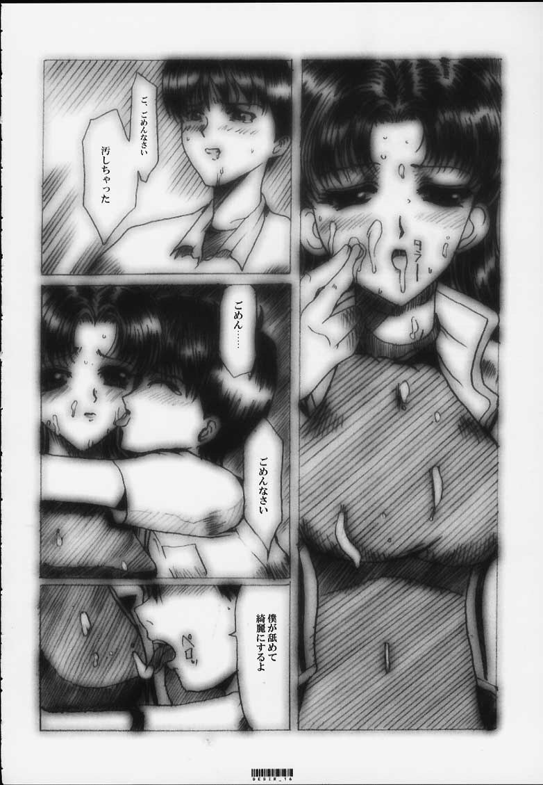 [Neko to Hato (Hatoya Mameshichi)] Désir - Yokubou no Hate - Kaiteiban (Neon Genesis Evangelion) page 15 full