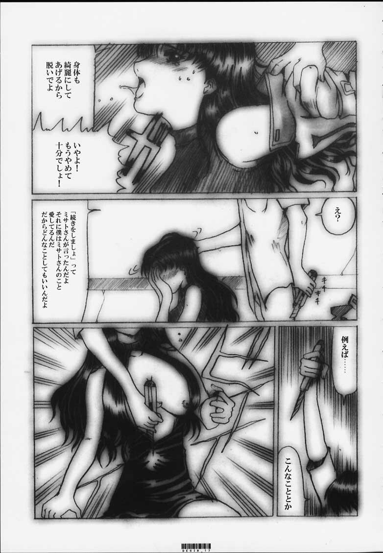 [Neko to Hato (Hatoya Mameshichi)] Désir - Yokubou no Hate - Kaiteiban (Neon Genesis Evangelion) page 16 full