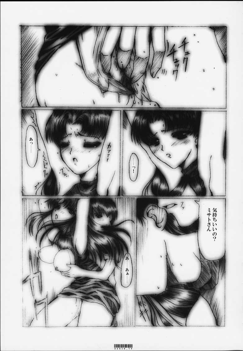 [Neko to Hato (Hatoya Mameshichi)] Désir - Yokubou no Hate - Kaiteiban (Neon Genesis Evangelion) page 18 full