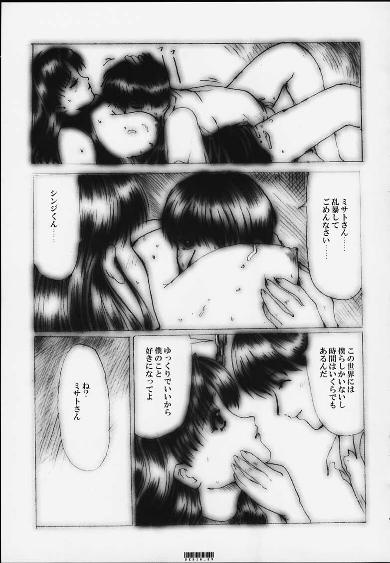 [Neko to Hato (Hatoya Mameshichi)] Désir - Yokubou no Hate - Kaiteiban (Neon Genesis Evangelion) page 28 full