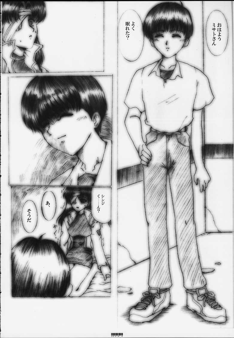 [Neko to Hato (Hatoya Mameshichi)] Désir - Yokubou no Hate - Kaiteiban (Neon Genesis Evangelion) page 7 full